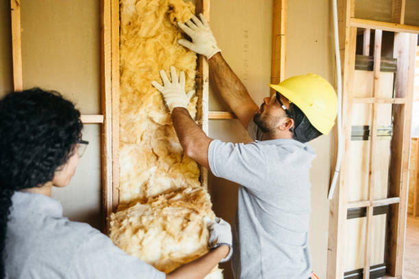 Best Eco-Friendly or Green Insulation Solutions  in Greenville, MS